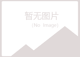 白银平川听露保险有限公司